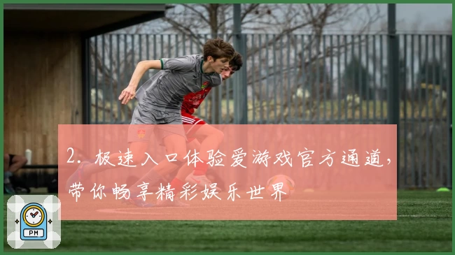 2. 极速入口体验爱游戏官方通道，带你畅享精彩娱乐世界