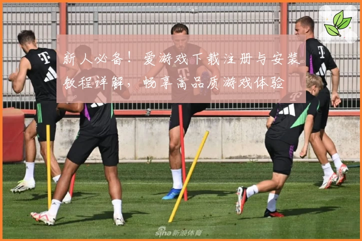 新人必备！爱游戏下载注册与安装教程详解，畅享高品质游戏体验